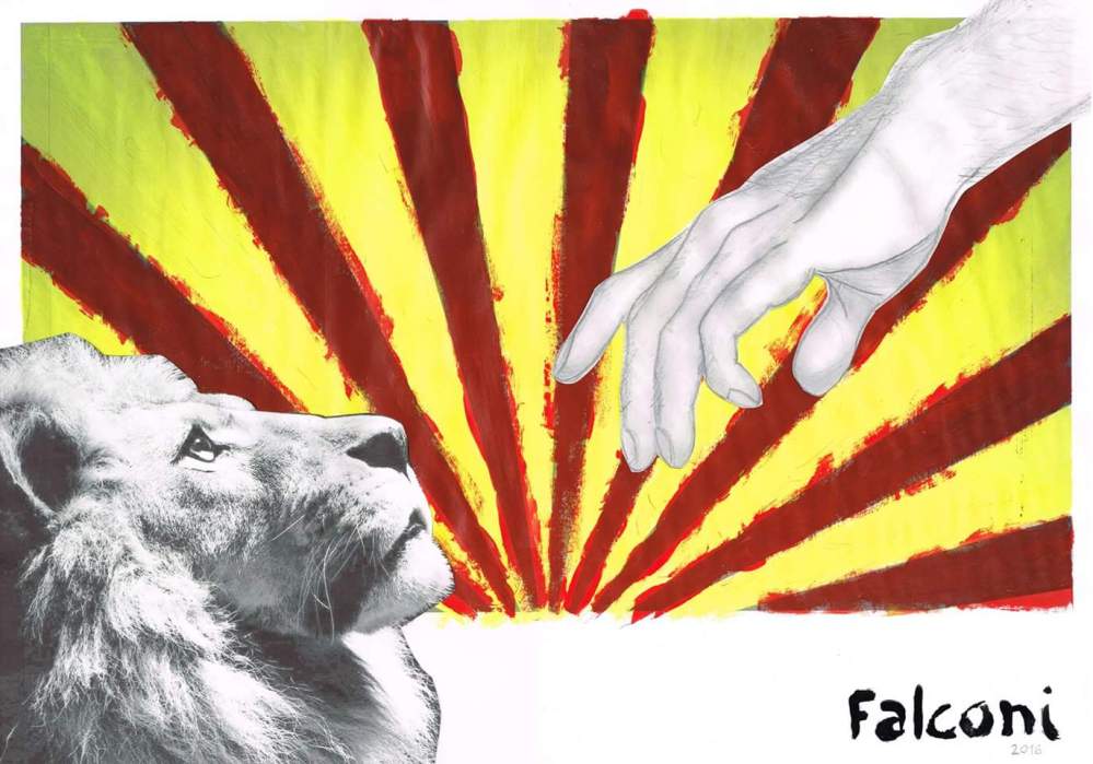 FB_IMG_1462649643860